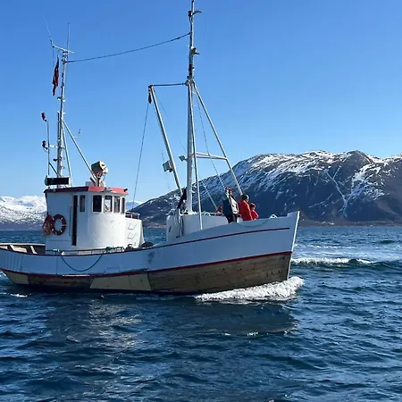 Ferienhaus Kvaloyvagen Gard As Kvaloya