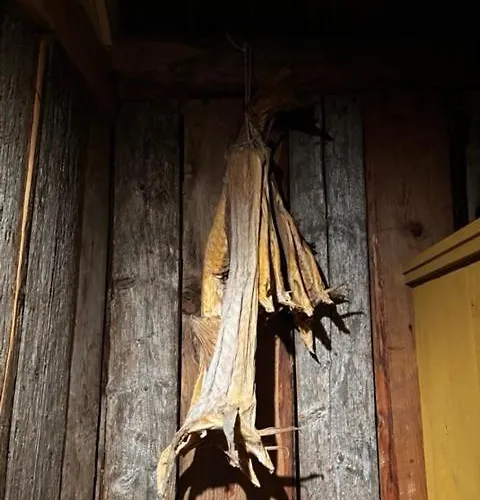 Serviced - Kvaloyvagen Gard Kvaloya